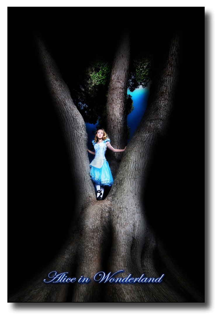 Alice Evolution Final