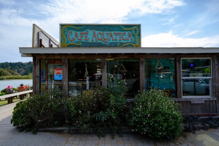 Photo Aug 03, 3 19 29 PM