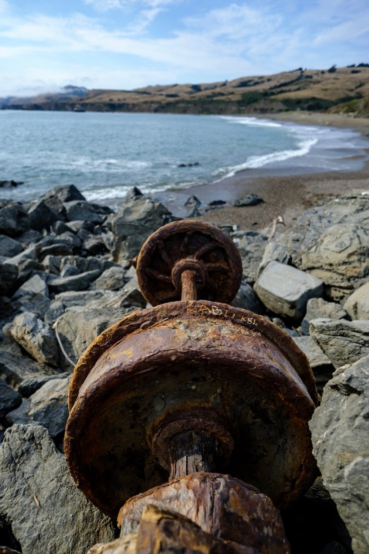 Photo Aug 03, 4 18 04 PM