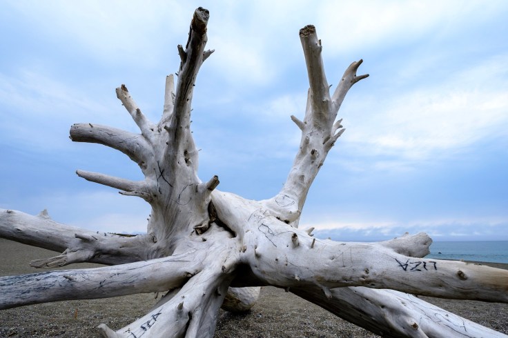 Photo Aug 04, 1 52 54 PM