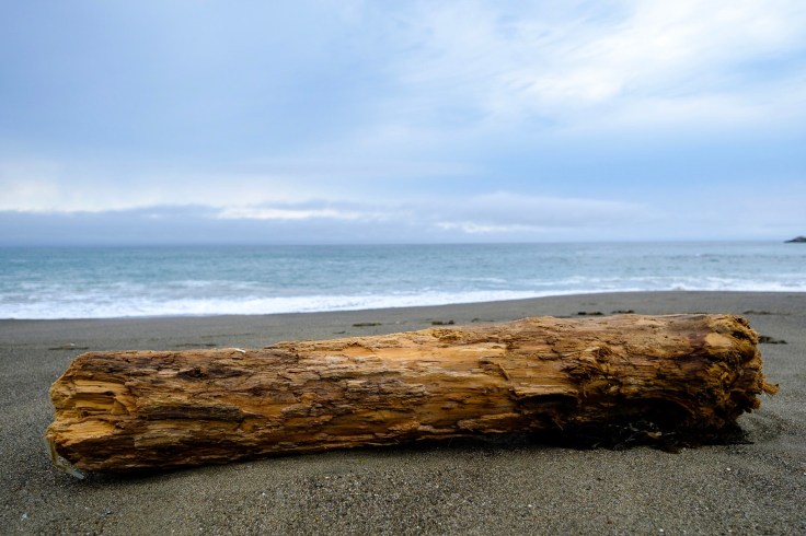 Photo Aug 04, 2 07 27 PM