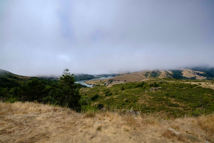 Photo Aug 05, 12 34 59 PM