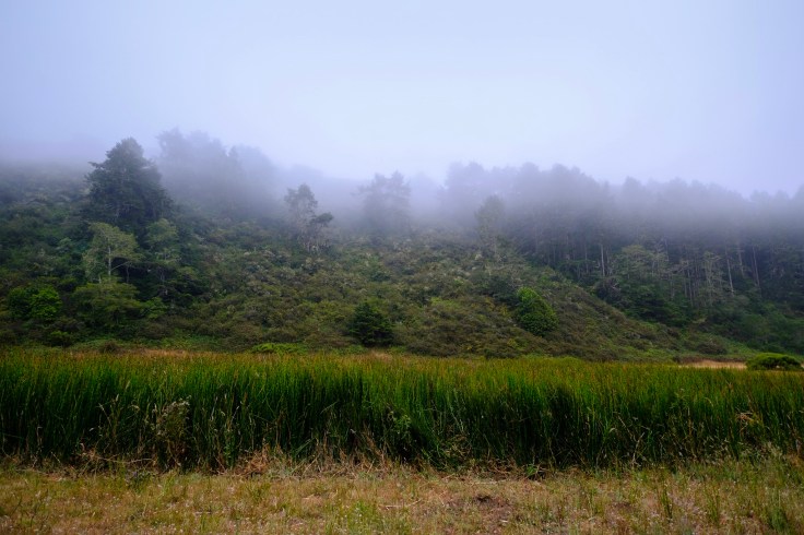 Photo Aug 05, 6 16 24 AM