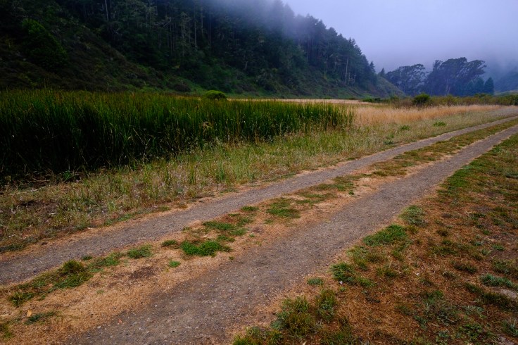 Photo Aug 05, 6 16 52 AM