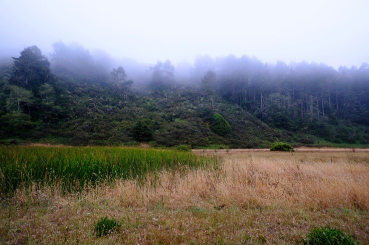 Photo Aug 05, 6 29 42 AM