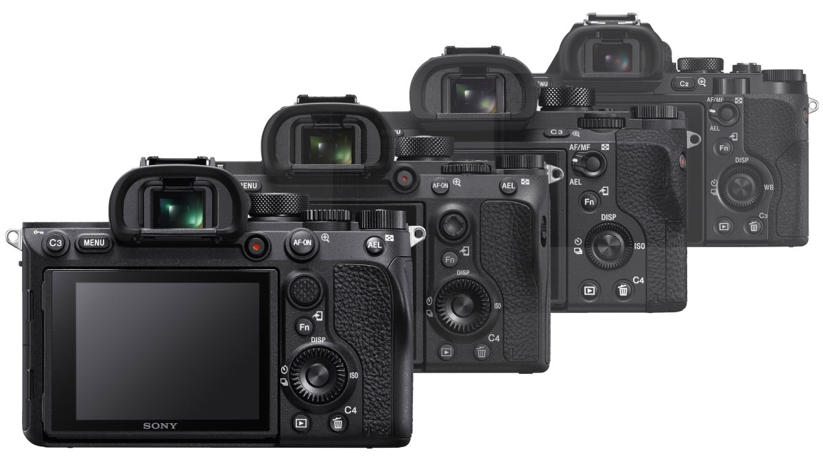 Sony Alpha 7R IV: What’s up? – Action Camera Blog